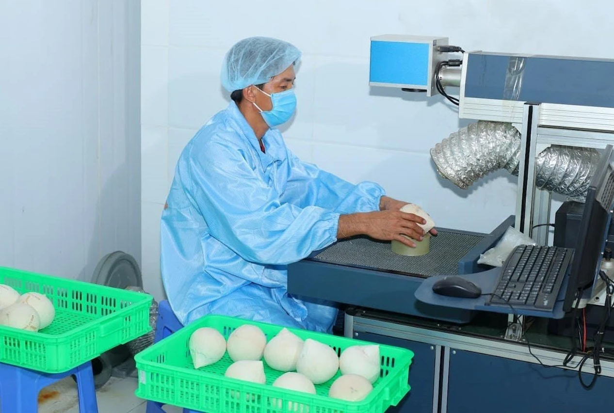 doanh nghiệp xuất khẩu