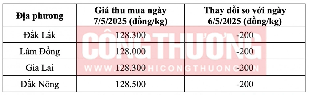 Giá cà phê ngày 7/5/2025