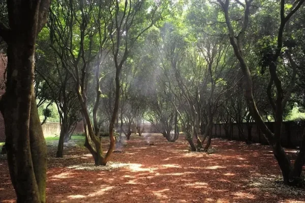 biệt phủ xuân hinh
