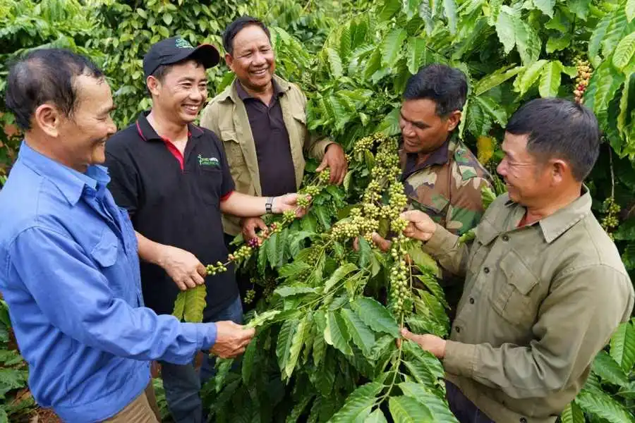 Nestlé đầu tư gần 1.900 tỉ đồng, thúc đẩy ngành cà phê Việt phát triển bền vững