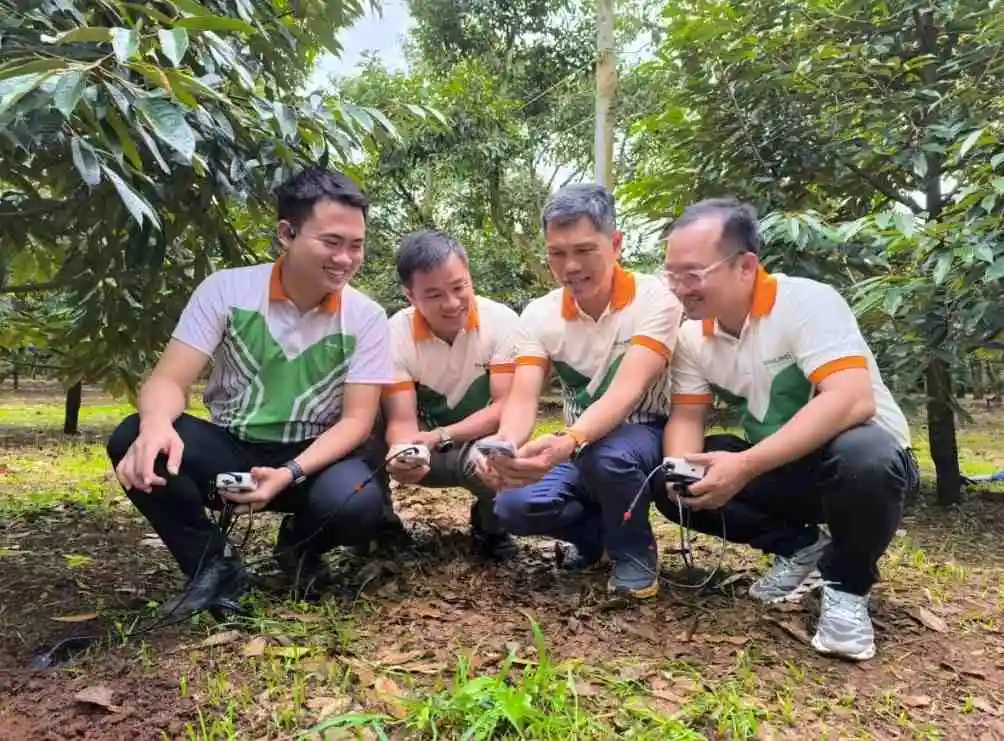 Phân bón Phú Mỹ: Giải pháp dinh dưỡng bền vững cho đất khỏe, cây xanh
