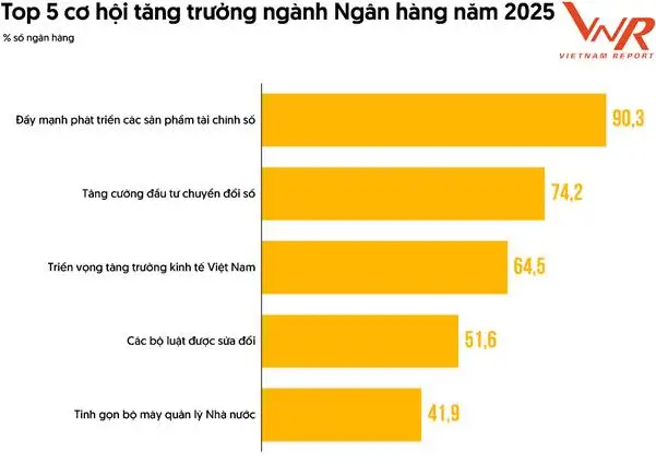 Khảo sát ngân hàng tháng 5/2025