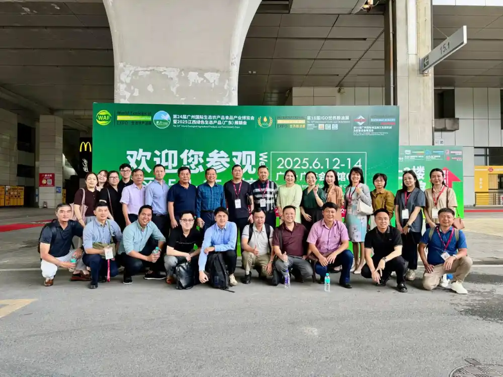 Xuất khẩu gạo Việt Nam 