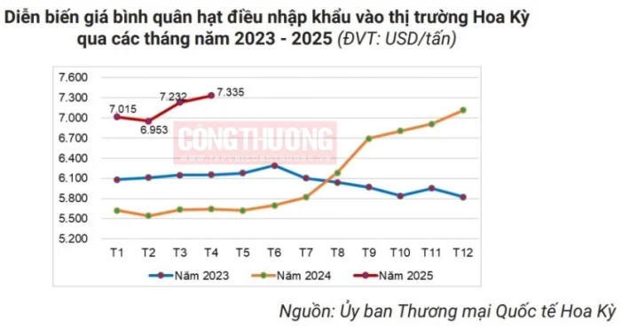 Hoa Kỳ nhập khẩu hạt điều cao cấp