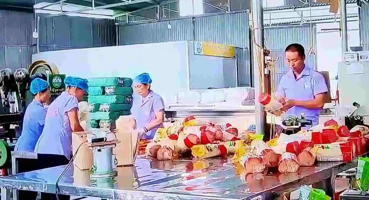 Sản phẩm OCOP: Bứt phá thị trường nội địa và vươn tầm quốc tế