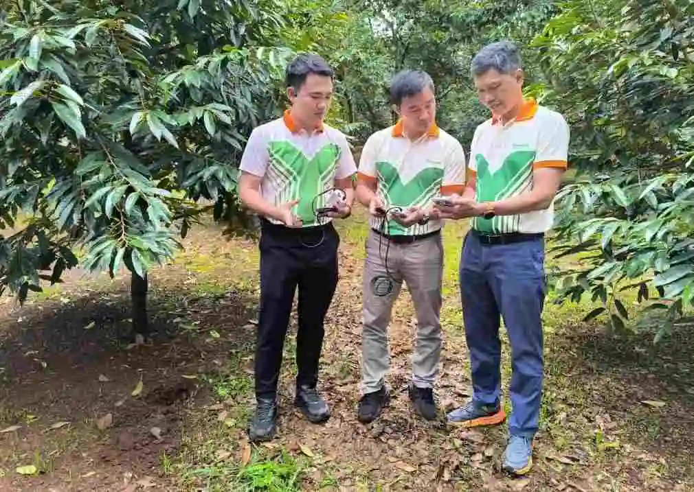 Giải pháp tái tạo đất: Hướng đi bền vững cho nông nghiệp Việt Nam