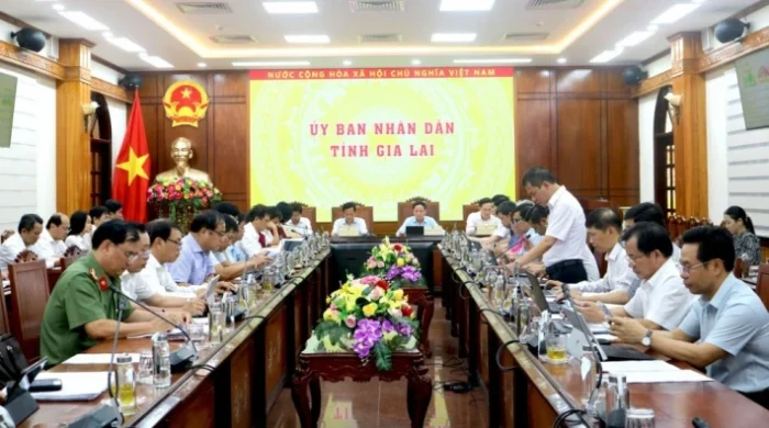 Gia Lai: Xuất khẩu tăng 30,9% sau sáp nhập