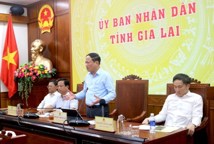 Gia Lai: Xuất khẩu tăng 30,9% sau sáp nhập