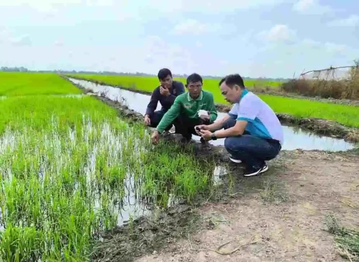 Tái tạo đất: Điều kiện tiên quyết cho nông nghiệp bền vững