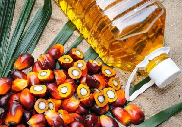 THỊ TRƯỜNG HÀNG HÓA: Áp lực bán vẫn bao trùm