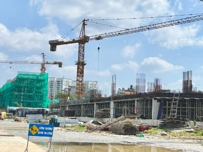 TP.HCM: Thẩm định lại giá đất dự án New City và khu đất 30,1 ha Nam Rạch Chiếc 2 Dự án New City TP.HCM - Tài chính 247